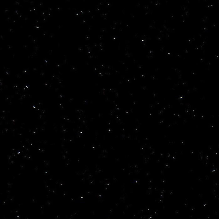 P004 Perna Black